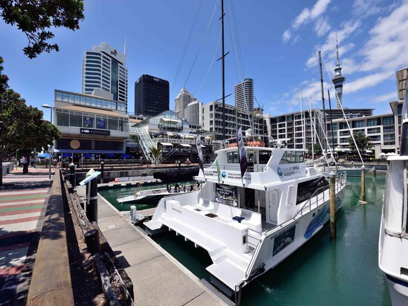 Furnished Apartment In Auckland Cbd Eksteriør bilde